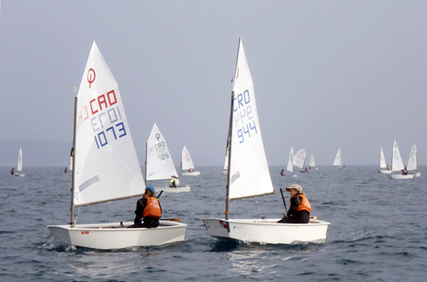Zlatna ribica PBF 2012.